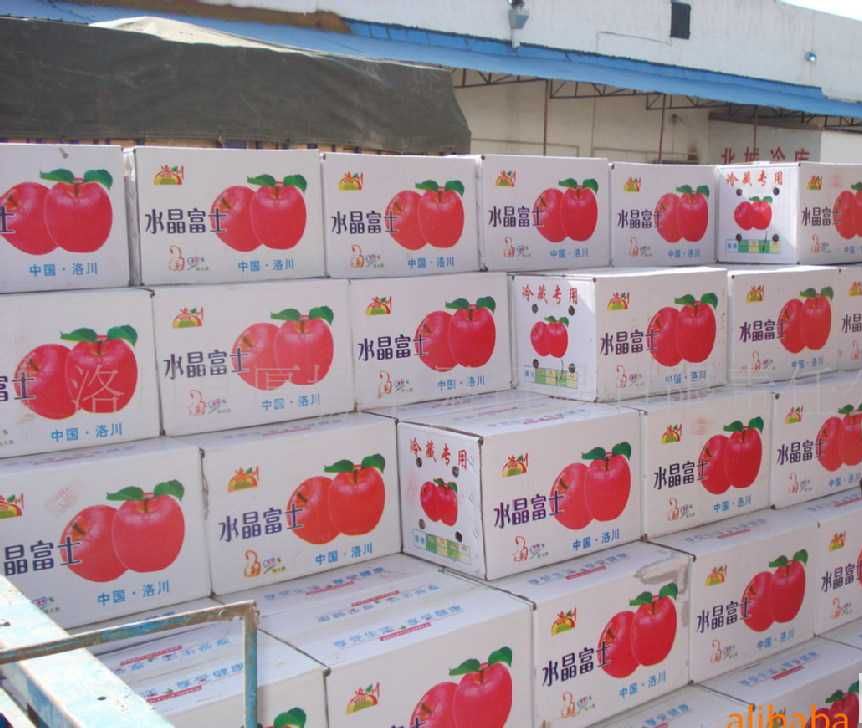 水果保鮮庫(kù)設(shè)(shè)計(jì)蔬菜冷庫(kù)建造公司哪家案例多