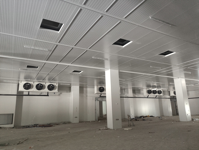 湖州水果保鮮庫安裝蔬菜保鮮冷庫設(shè)(shè)計公司推薦