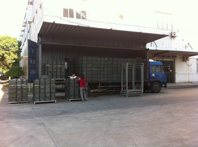 楊梅貯藏楊梅保鮮冷庫(kù)(kù)保鮮的時(shí)(shí)候要注意哪些問(wèn)(wèn)題