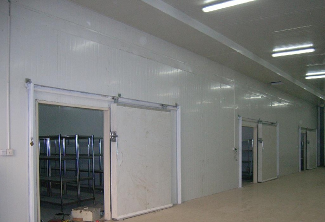 水果冷庫建設(shè)(shè)