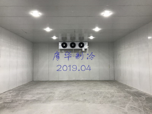 食品冷庫(kù)(kù)內(nèi)(nèi)景實(shí)(shí)拍