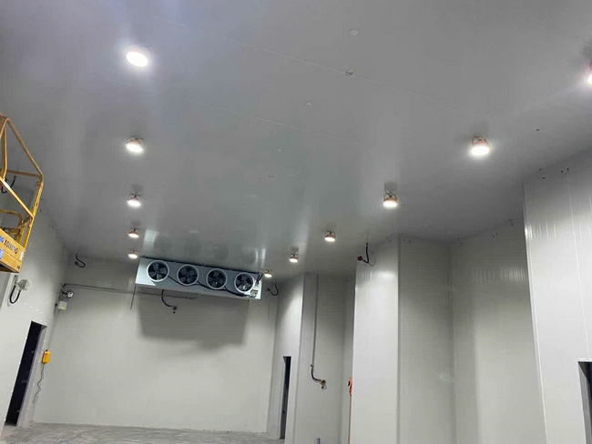 建個(gè)存放10噸貨物的冷庫(kù)大概需要多少錢？